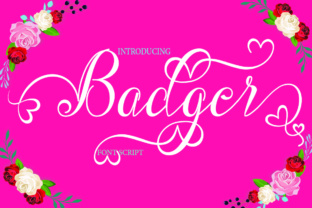 Badger: A Handwritten Font That Actually Works in Campaigns