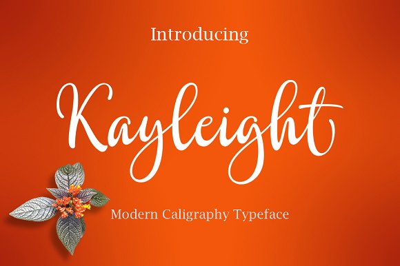 Kayleight: A Hand-Drawn Script Font That Builds Brand Warmth
