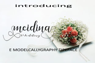 Meidina: A Handwritten Script Font That Feels Like Real Ink